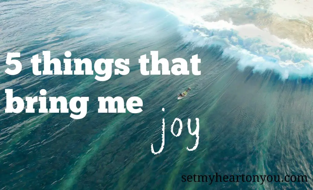 5-things-that-bring-me-joy-ashley-zin